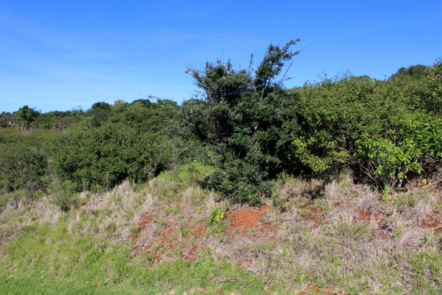 0 Bedroom Property for Sale in Riverview Water Front Estate Eastern Cape